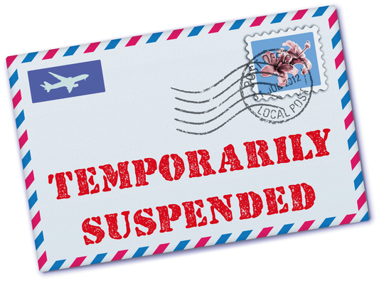 INTERNATIONAL ORDERS TEMPORARY SUSPENSION WITH IMMEDIATE EFFECT