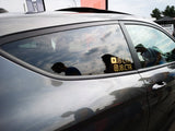 TikTok Decal Sticker (Singles)