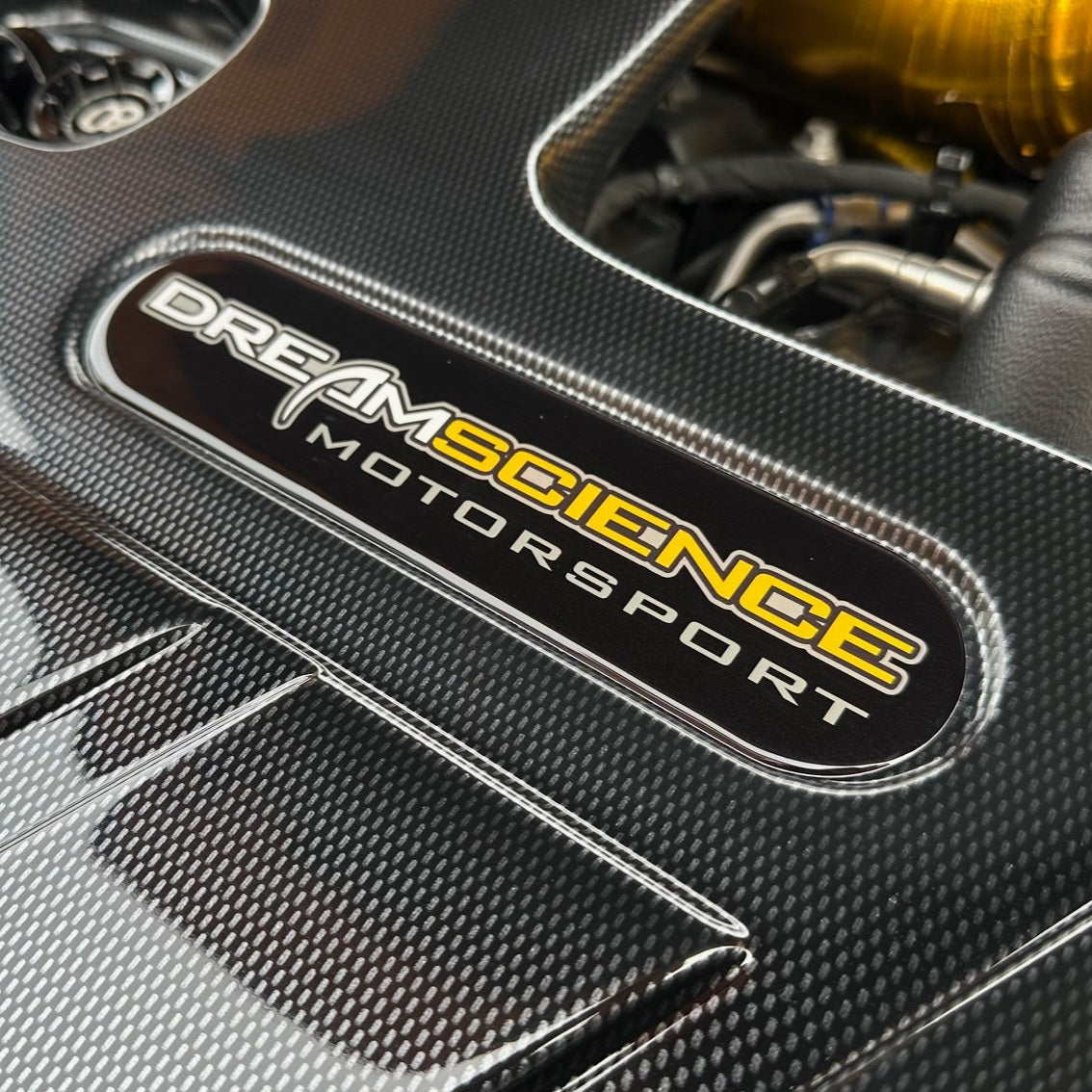 Mk4 Focus ST Paintmodz Engine Cover Gel Badge