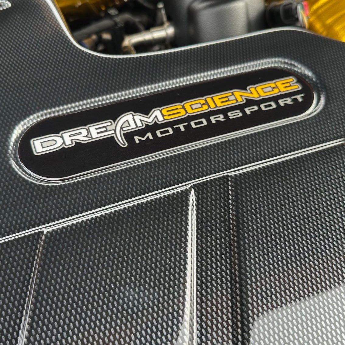 Mk4 Focus ST Paintmodz Engine Cover Gel Badge