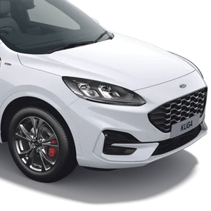 "Oval" Ford Gel Badge Overlays - Mk3 Kuga (2019 - 2023) ST LINE / ST LINE X & VIGNALE MODELS ONLY