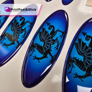 ’Oval’ Badge Overlays - Mk3 Focus (Pre-Facelift Only - NOT ST) Oval Badge Gel Overlays