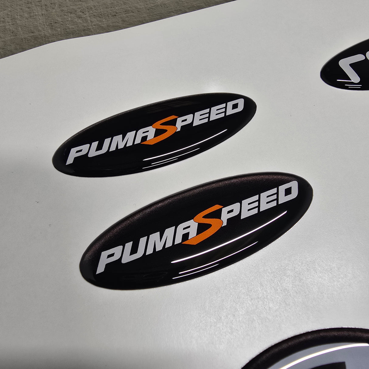 "Oval" Gel Badge Overlays - Mk7.5 Fiesta (Facelift) Including ST