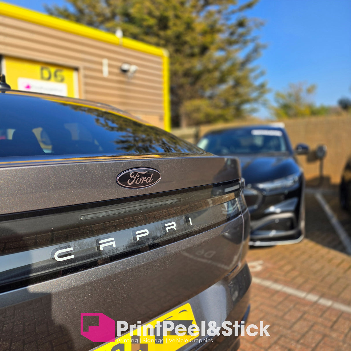 "Oval" Ford Gel Badge Overlays - New Capri EV (2024 -)
