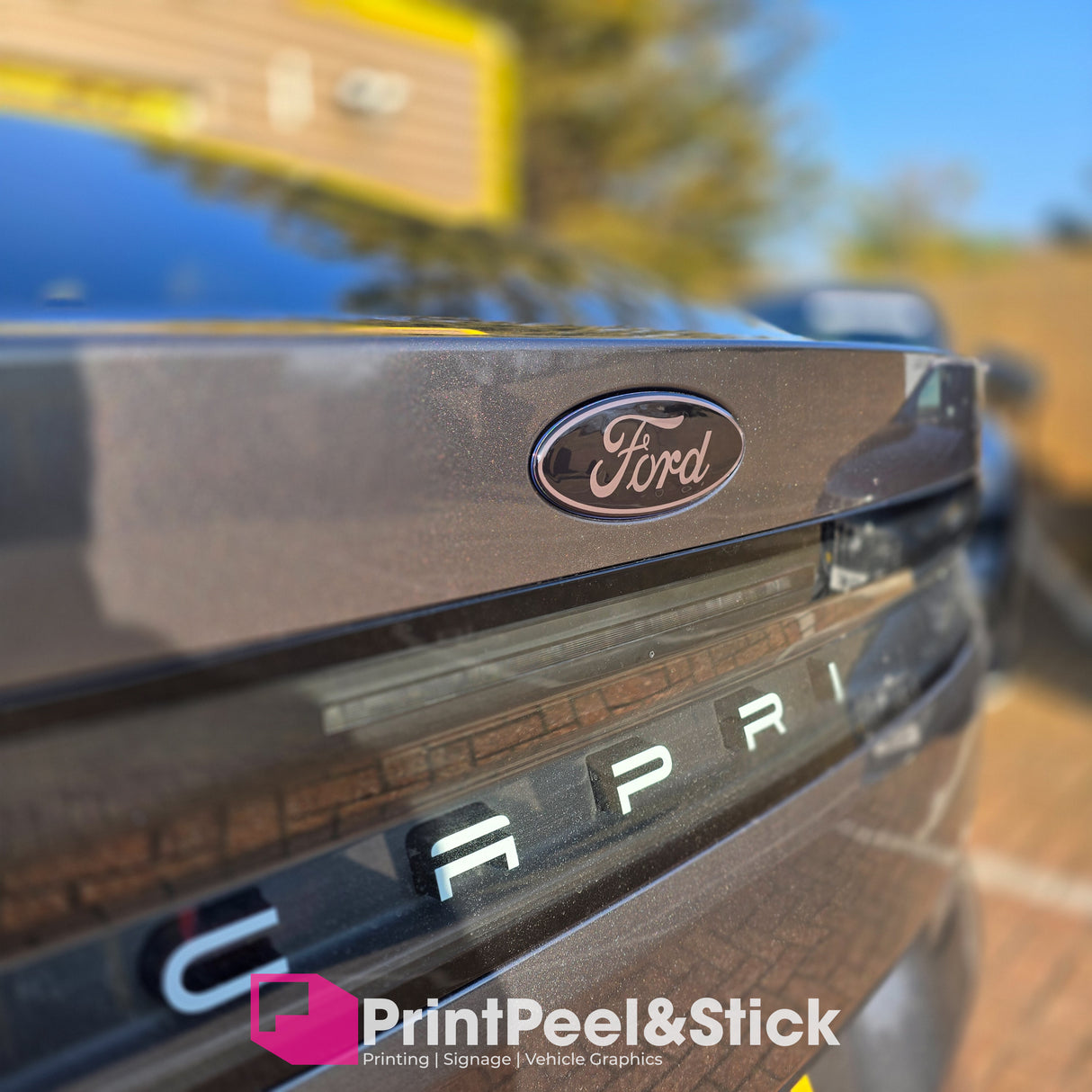 "Oval" Ford Gel Badge Overlays - New Capri EV (2024 -)