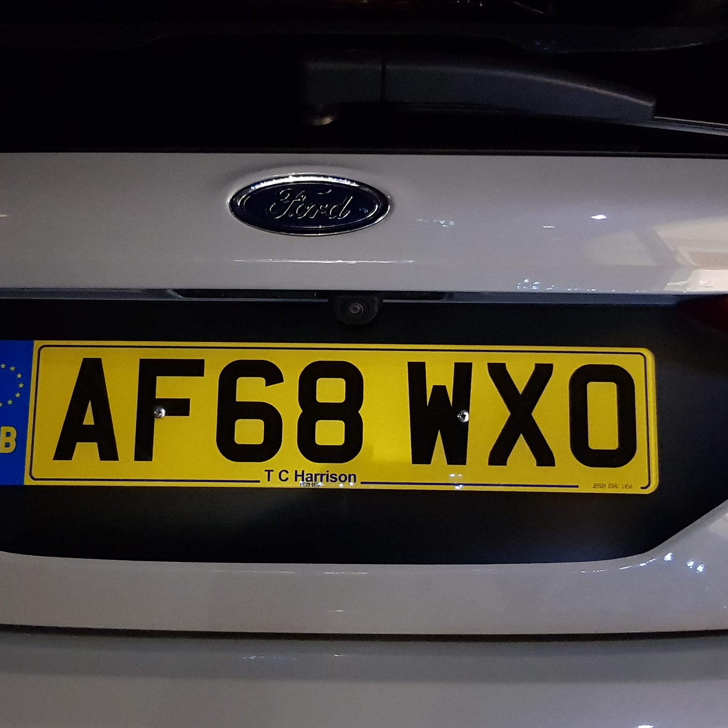 Fiesta Mk8 Rear Licence Plate vinyl Decal