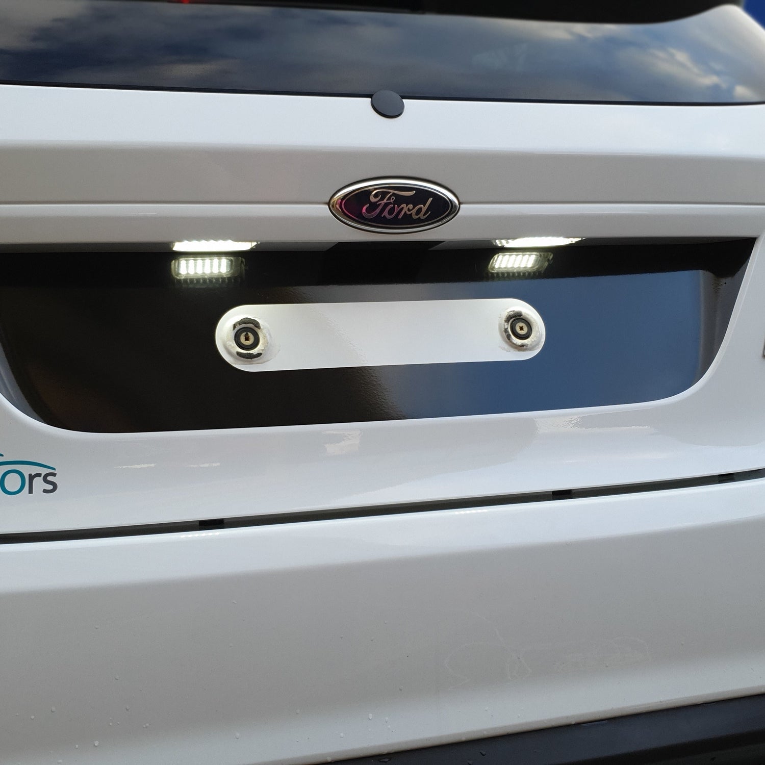 Fiesta Mk7 & 7.5 Rear Licence Plate vinyl Decal